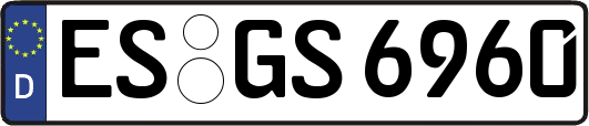ES-GS6960