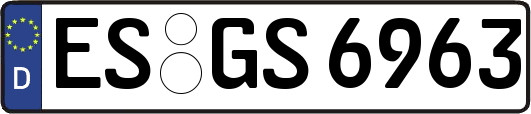 ES-GS6963