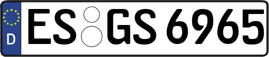ES-GS6965