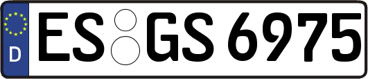 ES-GS6975