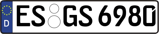 ES-GS6980
