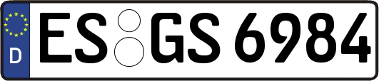 ES-GS6984