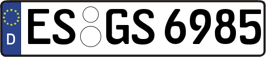 ES-GS6985