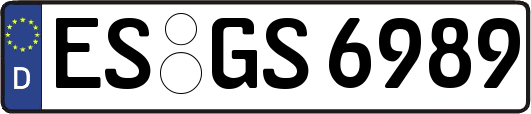 ES-GS6989