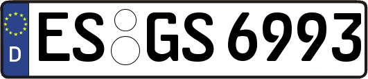 ES-GS6993