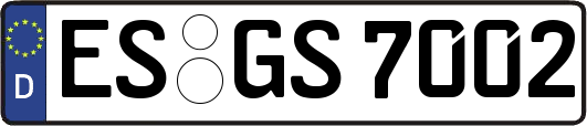 ES-GS7002