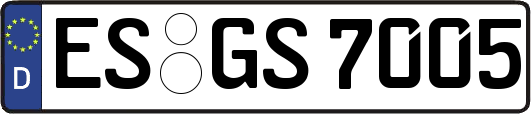 ES-GS7005