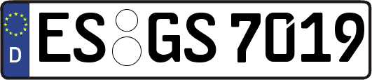 ES-GS7019