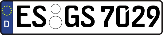 ES-GS7029