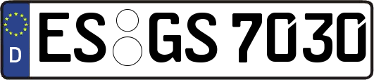ES-GS7030
