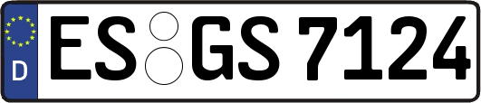 ES-GS7124