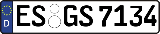 ES-GS7134
