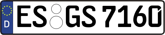 ES-GS7160