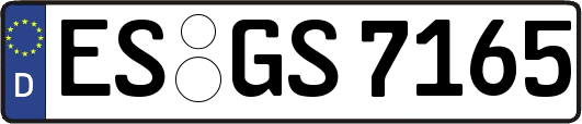 ES-GS7165