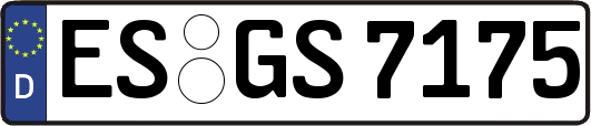 ES-GS7175