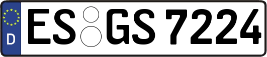 ES-GS7224