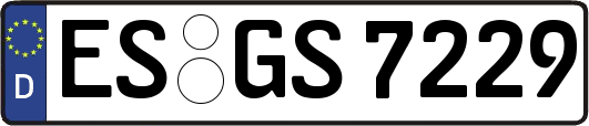 ES-GS7229