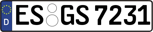 ES-GS7231