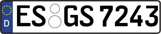 ES-GS7243