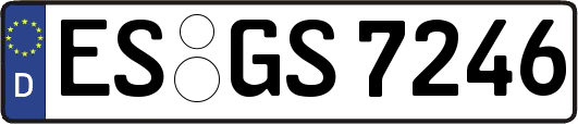 ES-GS7246