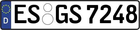 ES-GS7248