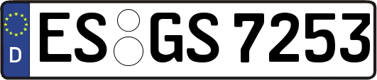 ES-GS7253