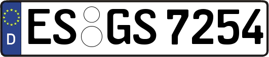 ES-GS7254