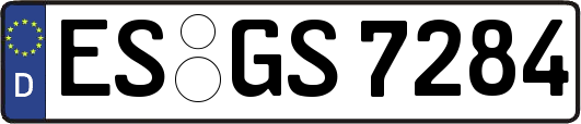 ES-GS7284