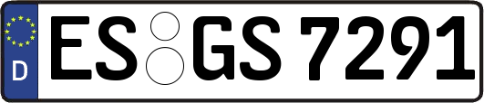 ES-GS7291