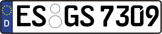ES-GS7309