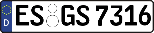 ES-GS7316