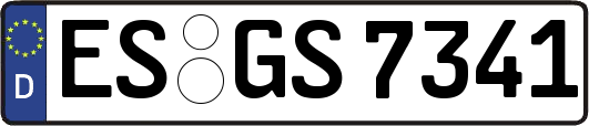 ES-GS7341