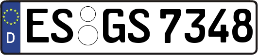 ES-GS7348