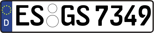 ES-GS7349