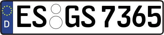 ES-GS7365