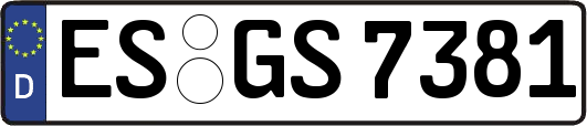 ES-GS7381