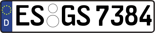 ES-GS7384