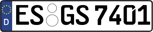 ES-GS7401