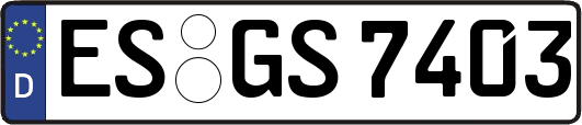 ES-GS7403