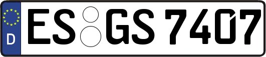 ES-GS7407
