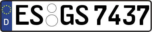 ES-GS7437