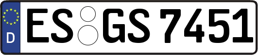 ES-GS7451