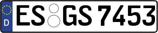 ES-GS7453