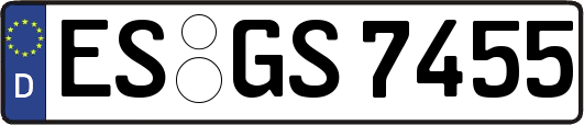 ES-GS7455