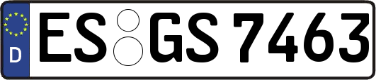 ES-GS7463
