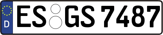ES-GS7487