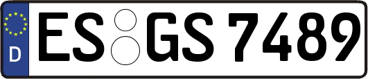 ES-GS7489