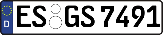ES-GS7491