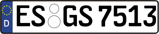 ES-GS7513