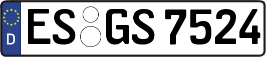 ES-GS7524